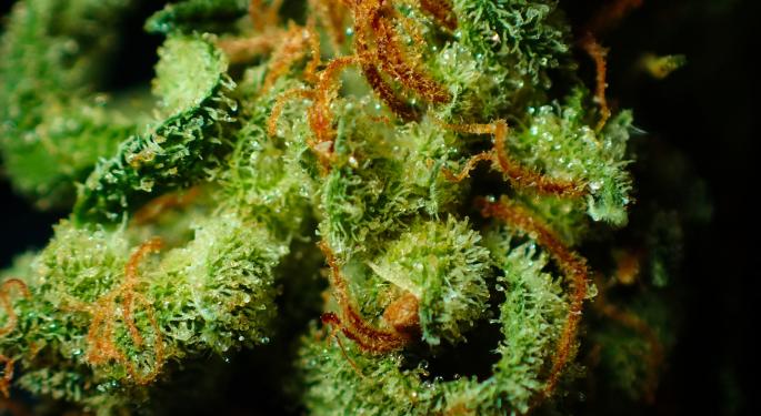 Analyst Projects $7B New York Cannabis Market, Says MSO Lobby Powerful