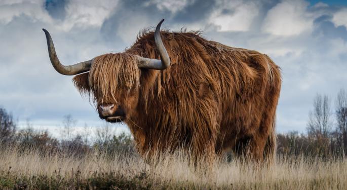 Analysts Are Bullish On These 5 Stocks That Went Public This Year
