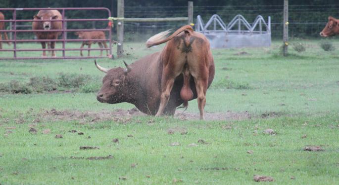 Brean Bullish On ServiceNow Heading Into Q3 Results