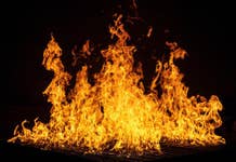 La tasa de quemado de Shiba Inu se dispara un 6.700%