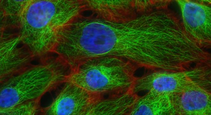 AstraZeneca's Enhertu Posts Substantial Clinical Benefit Over Roche's Kadcyla In Breast Cancer Trials
