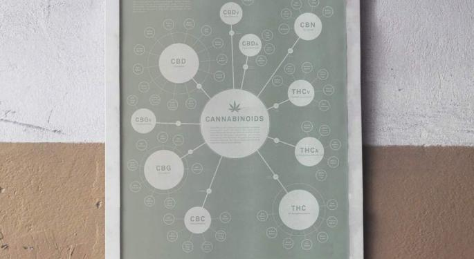 What's In Your Weed? A Look At The Most Abundant Cannabinoids, From THC And CBD To CBG And Others You've Never Heard Of