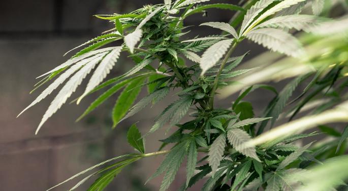 ArcView CEO Troy Dayton On Cannabis Going Mainstream, Entering Major Capital Markets