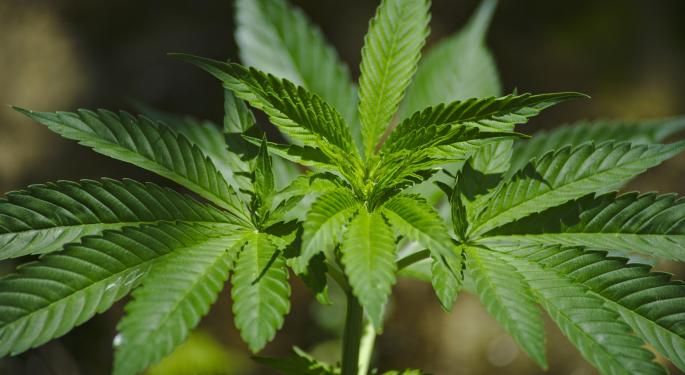 Halo Labs Enters Africa Cannabis Market Through Bophelo Acquisition