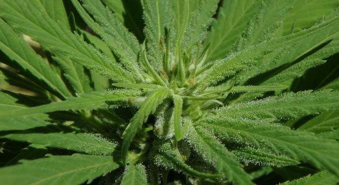 Aurora Cannabis Invests $7.5M In Alberta Marijuana Company High Tide