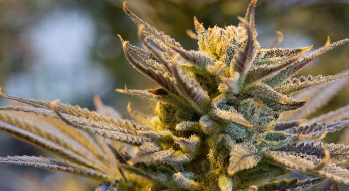 Michigan To Allow Some Marijuana Transfers, Sales Expected December 1