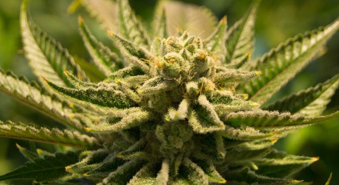 HC Wainwright Unfazed By Zynerba Ending ZYN001: Drug 'Wasn't In Our Numbers'