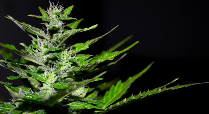 Morocco: Europe's Biggest Cannabis Supplier