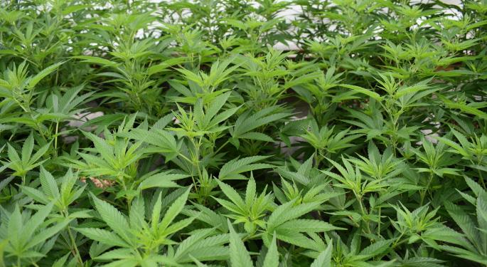 Real Estate Execs On Maximizing Cannabis Capital Efficiency Via REIT Relationships