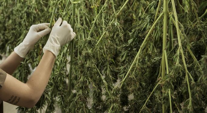 SD Police Throw Out Recreational Cannabis Measure Over 'Technicality'
