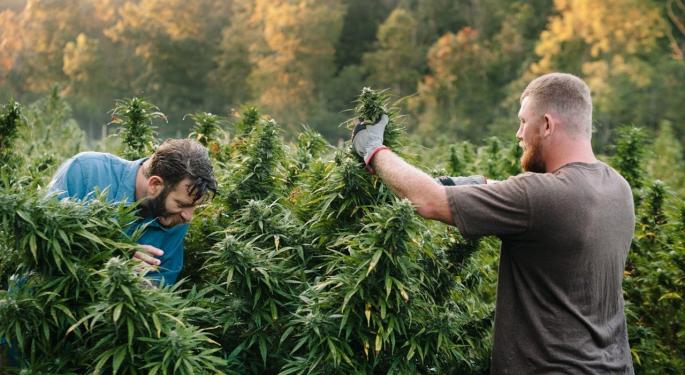 Lowell Farms: Q4 Revenue Increases 21% Sequentially To $15.1M
