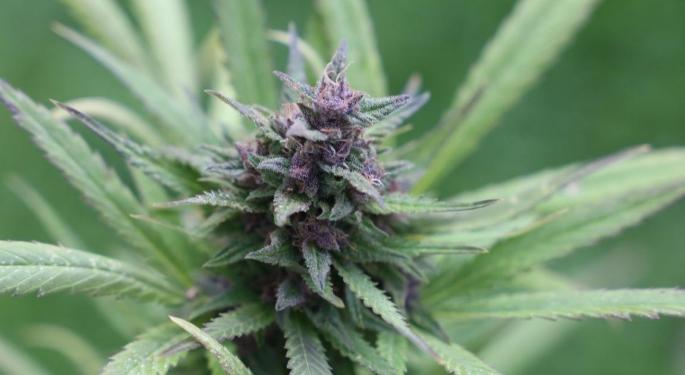 Cannabis and Crypto Joins Forces?