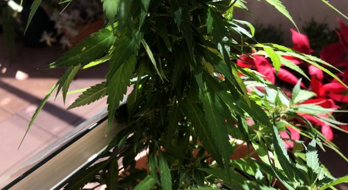 Get Your Books In Order With This End-Of-Year Cannabis Payroll Checklist