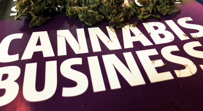 Cannabis Hedge Fund Managers On The Two Biggest Problems Marijuana Businesses Face