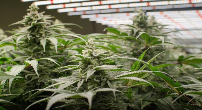 How A Deal With Osram Bolstered Fluence's Cannabis Cultivation Services