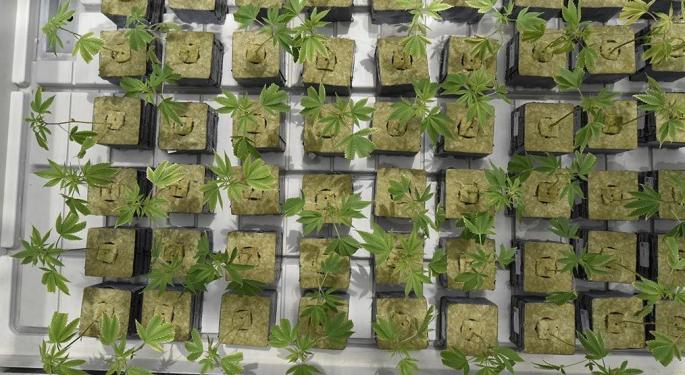 BofA: CannTrust's Global Expansion 'Underappreciated'