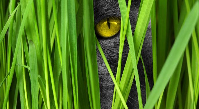 Look What's Lurking In This Low-Volatility ETF