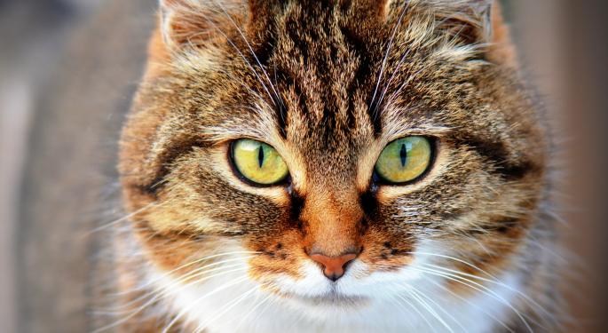 How Ridiculous Can ETFs Get? A Fictional Cat-Themed Product Makes Insane ROI