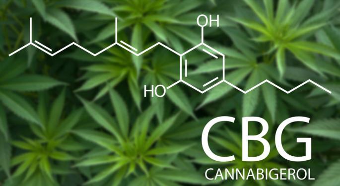 CBG, The Mother Of Cannabinoids, Is In The Spotlight