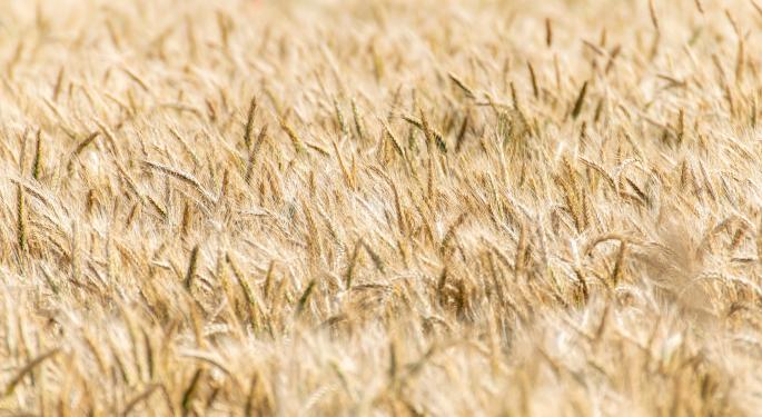 Canadian Grain Shippers, Railroads Brace For Lower Grain Volumes