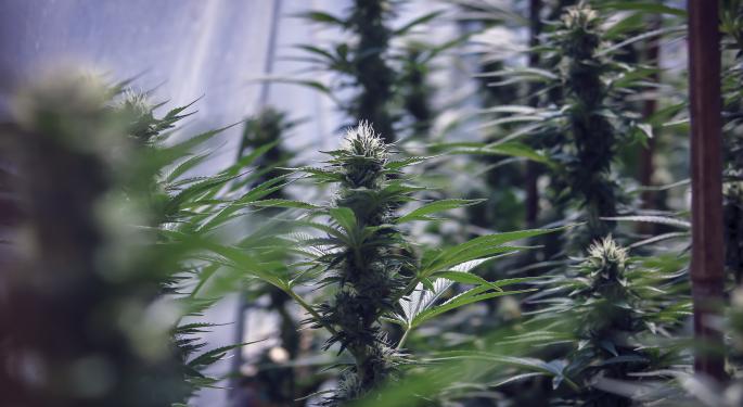 California's Cannabis Market: What Investors And Entrepreneurs Need To Know
