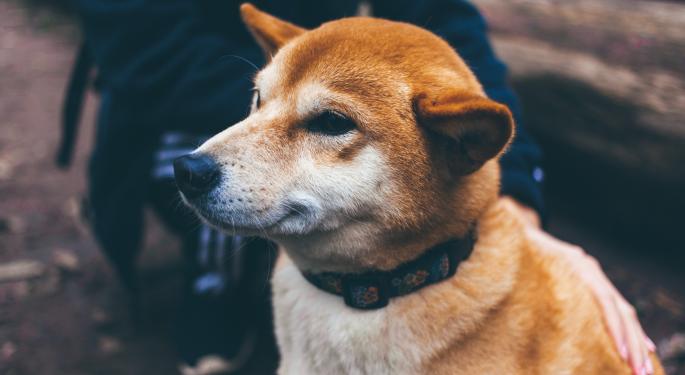 Here's How Shiba Inu SHIB Rally Is Different From Dogecoin