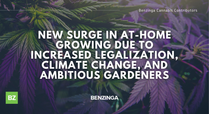 New Surge In At-Home Growing Due To Increased Legalization, Climate Change And Ambitious Gardeners