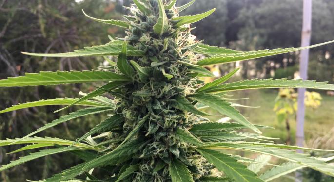 Legal Cannabis Is Keeping Execs In The Billion Dollar Sleep Market Up At Night: Here's Why