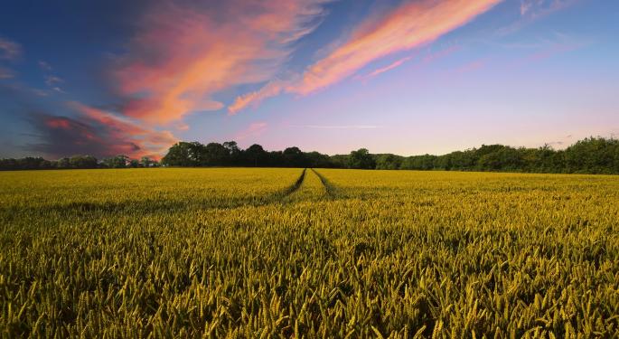 Market Turmoil Could Be A Boon For Some Alternative Assets