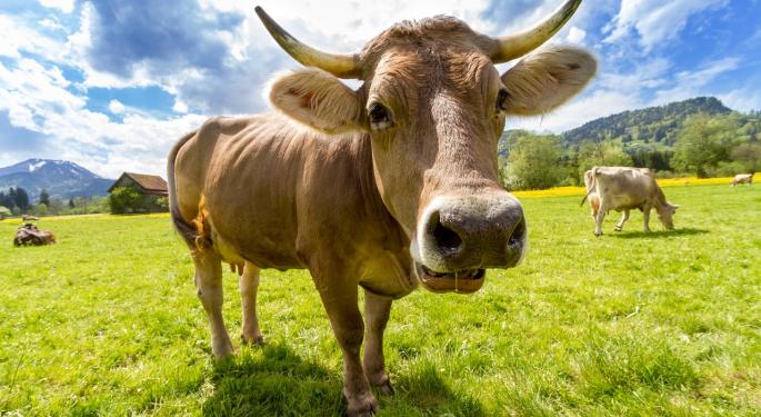 2 Stocks Bob Olstein Is Heavily Bullish On