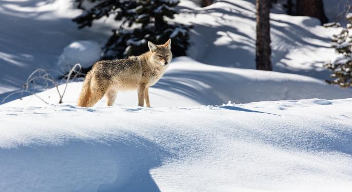 Susquehanna Bullish On Canada Goose:  'We Foresee A Long Runway For Margin Expansion'
