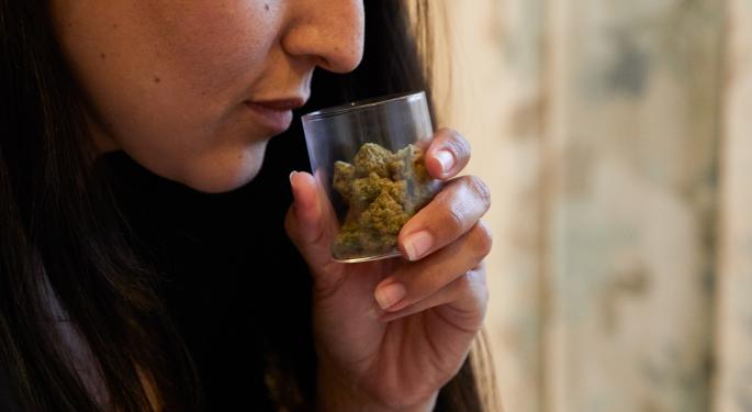 ICYMI: Why Do Some Cannabis Strains Smell Like Garlic?