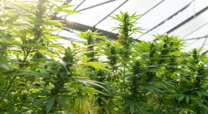 Schwazze To Buy Colorado Cultivation Grower Brow 2 For $6.7M In Cash