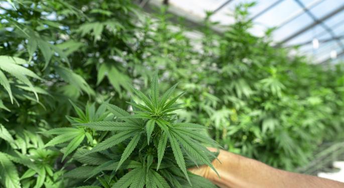 Curaleaf Expands In Florida – Will Open Four New Cannabis Dispensaries For Total Of 117 Nationwide