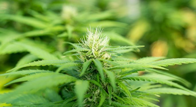 Cannabis Strategic Ventures 2020 Revenue Hits $14.6M, Up 517% YoY