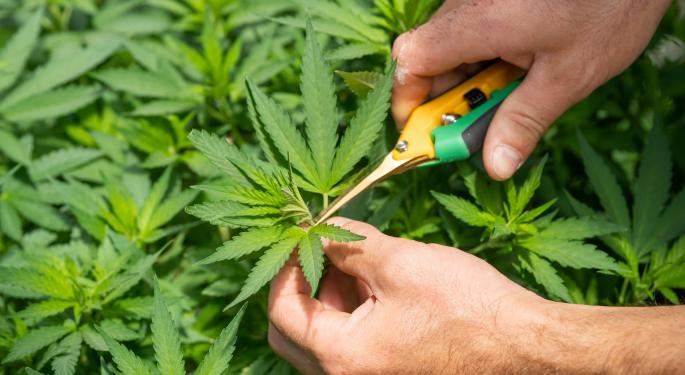 Tilray Calling On Shareholders To Support Dilution, Proxy Advisory Firm Joins The Plea Ahead Of Upcoming Shareholders Meeting