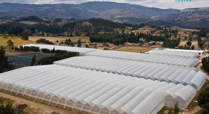 Colombia Authorizes First Cannabis Export To Canada: 'This Event Has Been Two Years In The Making'