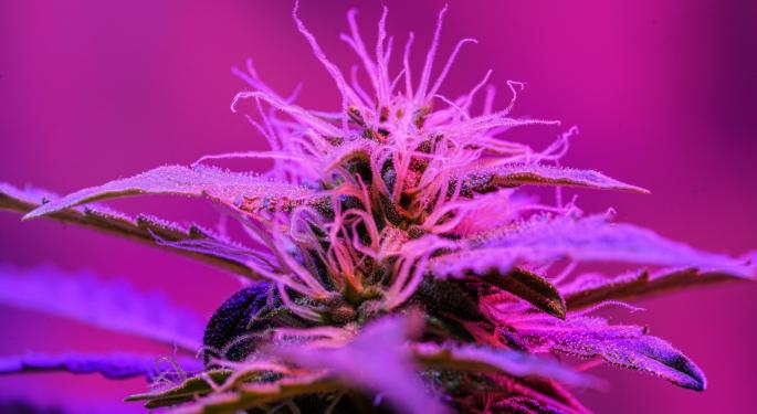 Jushi Cannabis Co Touts 690% Spike In 2020 Revenue, Reports Q4 2020, Q1 2021 Financial Results