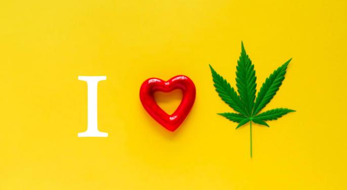 15 Best Places To Live If You Love Cannabis