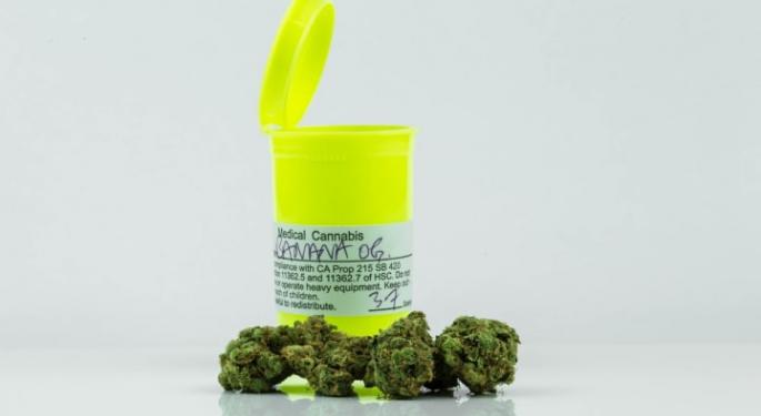 How Many Weed Strains Are There? The Mysterious World Of Cannabis Cultivars