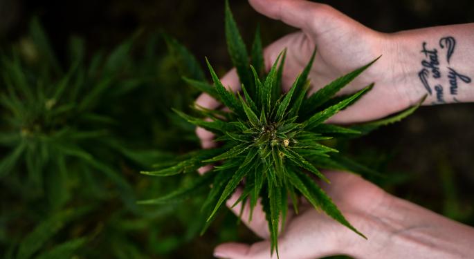 Celebrity-Backed Cannabis Beverage Brand 'Cann' Reaches Massachusetts