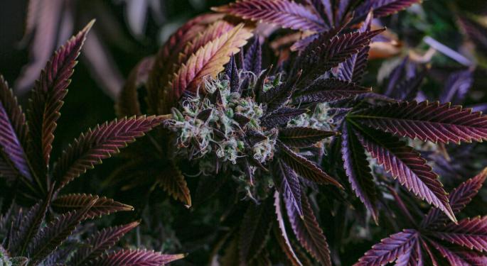 MariMed Shares Surge On Increased Revenue Guidance To $118M, Sixth Sequential Quarter Of Positive EBITDA Growth