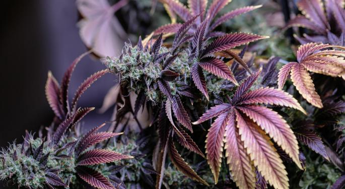 Cannabis-Focused Lending Company FundCanna Launches With $30M In Available Debt Funding
