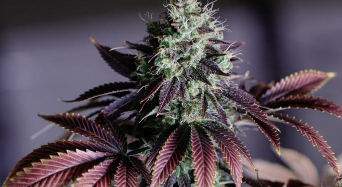 Cannabis Co. Body And Mind To Commence Processing Activities In Ohio And Manufacturing Operations In California