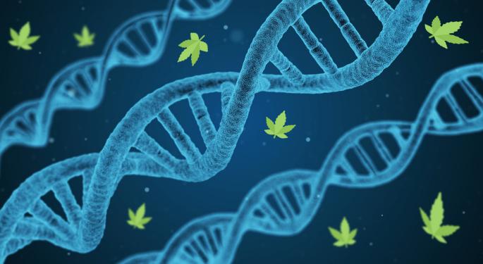The Companies Offering DNA Testing To Find The Best Cannabis For You