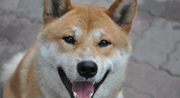 If You Had $1,000 Right Now, Would You Put It On Shiba Inu Or Dogecoin?