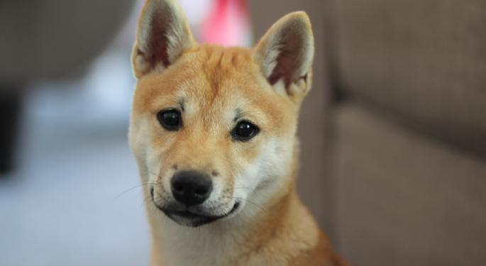 If You Had $1,000 Right Now, Would You Put It On Shiba Inu Or Bitcoin?
