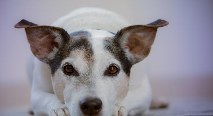 A Look At PetMed Express Through Benzinga's Securities Lending Volatility Index