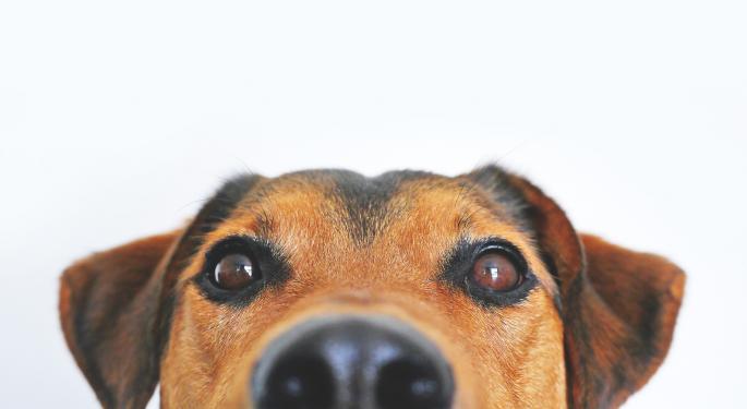 Technical Terms: Red Dog Reversal Strategy Explained