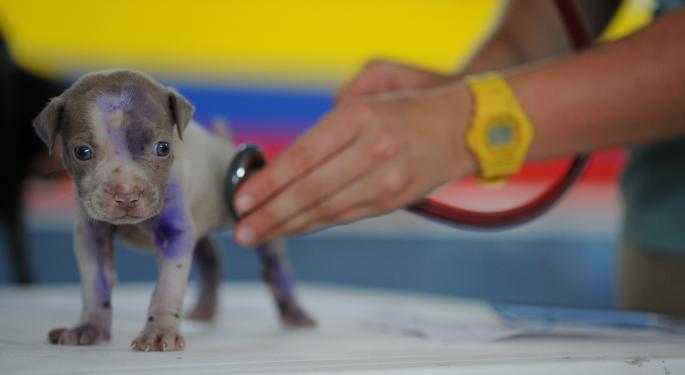 BofA Downgrades Veterinary Medicine Maker Zoetis On Valuation